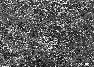 Fig. 4. SEM image in backscattered mode of a cross section through a typical HVOF coating showing the fine dispersion of Sn precipitate (light contrast)