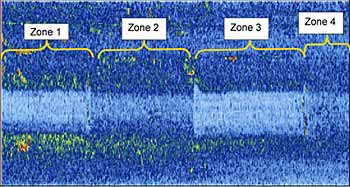 Fig.19. Pan view of ultrasonic data showing the four weld zones and the differing noise levels