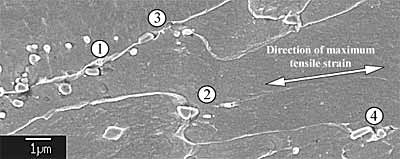 Fig.23. Scanning electron micrograph of cracked carbides below the unpropagated notch root. (1) The carbide crack was stopped at the carbide/matrix interface, and was subsequently blunted. (2) The cracked carbides tend to be aligned with the direction of maximum tensile strain, in accordance with the fibre-loading model. (3) Evidence of carbide/matrix debonding and microvoid growth. (4) The cracking of the carbide on the right may have prevented the cracking of the elongated carbide on its left through local stress relaxation 