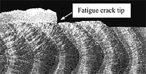 Fig.7. Fatigue crack tip in fusion boundary of surface notched specimen with cleavage initiation at edge of transformed HAZ in QT2N steel, M=2.15, (K J=280MPam 0.5 at -40°C)