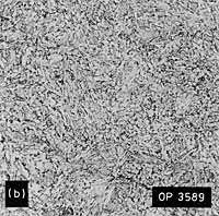 Fig.9a and b representative HAZ microstructures from 'hard' HAZ K preparation weld. Note: M=martensite 