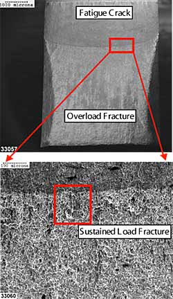 Fig.4. Scanning electron images showing the fracture face morphology of a SENB test specimen, of parent metal M4, postweld heat treated at 650°C for one hour. 15kV secondary electron image, nominal magnification scales shown