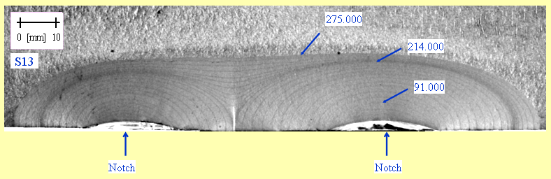 Figure 4: Image of the fatigue crack growth from twin co-planar flaws [5]