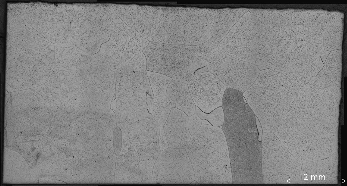 Figure 2: Optical micrograph of coarse grained low density, high aluminium, steel cast sample. Courtesy of Neil Hollyhoke, WMG{University of Warwick