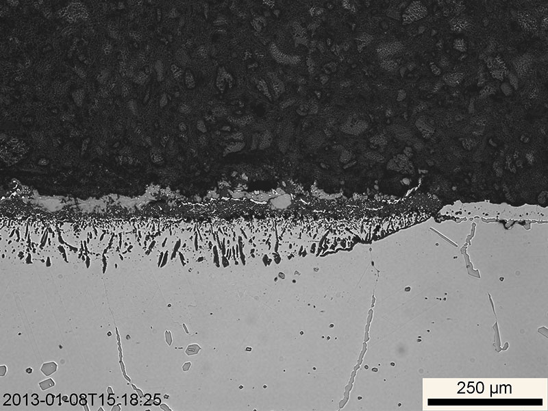 Figure 4: Light micrograph of beta-aluminide coated UNS N06601cross-section after 336h at 1100°C in flowing 90%CO-2.5%H2-Ar while under TiO2 powder. Grain boundary precipitation is visible for several hundred µm below this region.