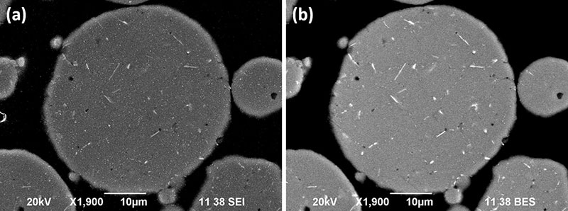 Fig. 7 SEM micrographs of a solution heat-treated AA7075 particle. SE (a) and BSE (b) revealing a homogeneous microstructure and coarse needle-shaped precipitates