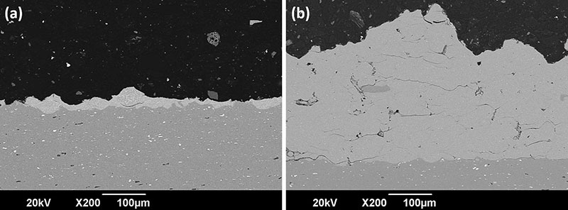 Fig. 11 Cross section BSE images of the coating deposition of as-received particles (a) and solution heat-treated (b) and of AA7075 powder showing a high thickness (300 μm) in the second case
