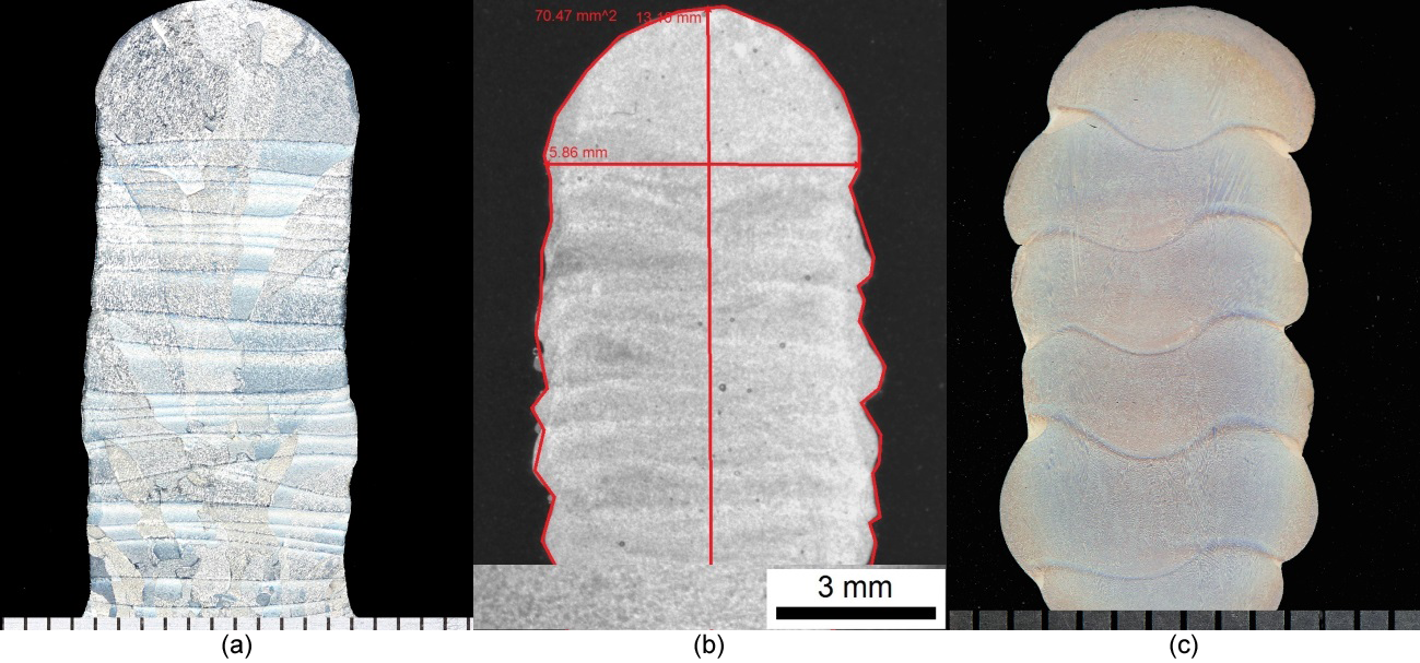 Figure 3. Macro sections of (a) Ti-6Al-4V, (b) AA4043, and (c) IN718 Arc Based AM walls