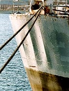 Dishing of the steel plate between longitudinal stiffeners can be seen clearly on the bow of this ship (Courtesy MOD)