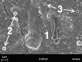 Fig. 6 The microstructure of a titania coating consisting of deformed melted material solidified on the surface (1, rutile), agglomerates which are partially melted (2, anatase) and those which have resolidified in flight (3, anatase).