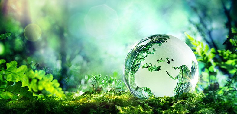 What is Sustainability and why is it so Important? - TWI