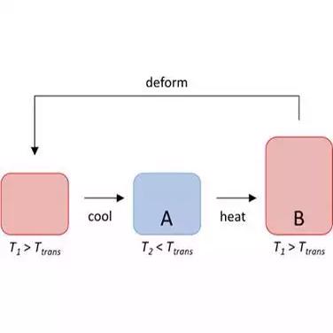 Figure 1. Schematic diagram illustrating the basic shape memory effect in a polymer with a switching transition temperature of Ttrans. State A shows the temporary (programmed) shape. State B shows the permanent (recovered) shape. The polymer is heated to a temperature of T1 and cooled to a temperature of T2.  