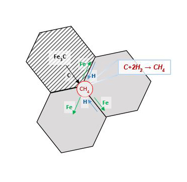 Figure 1a. Schematic illustration of diffusion and reaction processes taking place in HTHA 