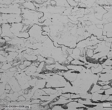 Figure 1b. Micrograph of degraded C-Mn steel due to HTHA