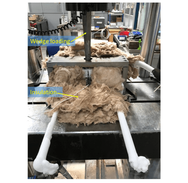 Figure 2. The CCA specimen cooled and under test