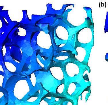 Figure 5. Axial displacement (uz) obtained by global DVC analysis for the magnitude displacement of 0.12 mm (a), and 0.24 mm (b).