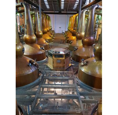 Copper stills at Grant's Distillery were used for data collection