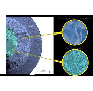 Figure 1. Fracture surface from a notched tensile specimen after slow strain rate testing (SSRT), tested under CP.  A ring of brittle intergranular and transgranular fracture is shown around the circumference near the root of the notch.