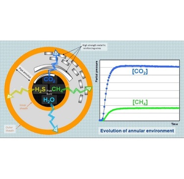 Figure 1. Evolution of annular environment through permeation