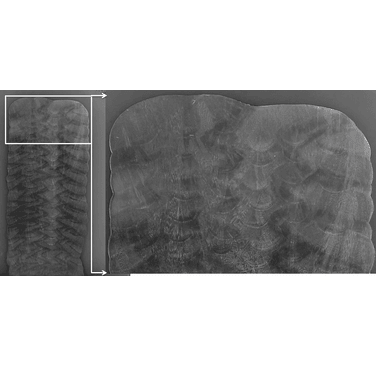 Figure 2: Vertical cross section of Alloy 625 alloy wall built using parallel bead deposition method