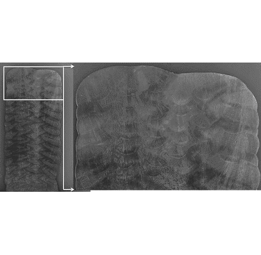 Figure 2: Vertical cross section of Alloy 625 alloy wall built using parallel bead deposition method