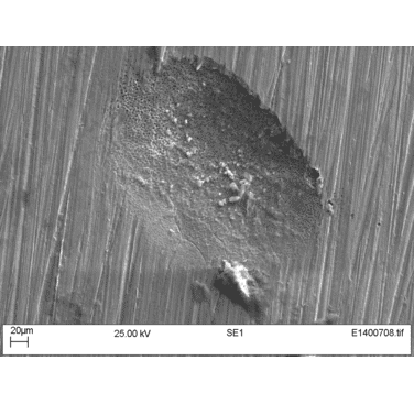 Figure 2: Micrograph of a seawater crevice corrosion tested sample
