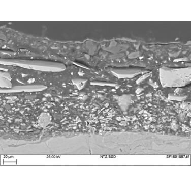 Figure 8. Backscattered SEM image of cross-sectioned specimen