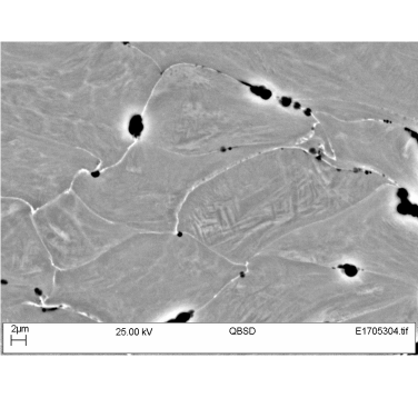 Figure 3. Backscattered SEM micrograph of cold spray deposited Ti-6Al-4V