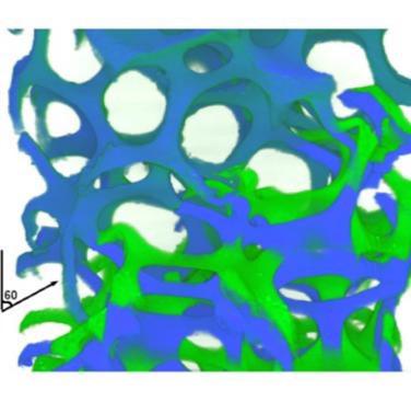 Figure 20. Overlapped volumes for the displacement levels of 0.54 mm (in blue) and 1.14 mm (in green), correspondingly with point D and E in Figure 17 respectively