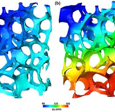 Figure 21. Axial displacement (uz) obtained by global DVC analysis for the magnitude displacement of 0.12 mm and 0.24 mm