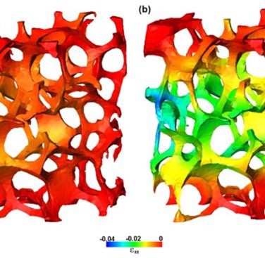 Figure 22. Axial strain map (εzz) obtained by global DVC analysis for the magnitude displacement of 0.12 mm and 0.24 mm