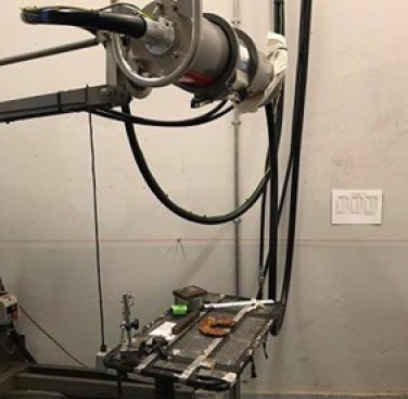 Figure 16. The horseshoe undergoes an x-ray