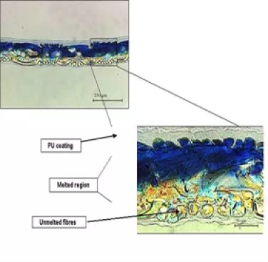 Figure 1. ClearWeld - Weld between blue and yellow nylon fabrics showing region of fused material in the centre and unmelted fibres on the outer surfaces