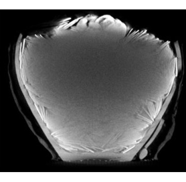 Figure 19. Example 2D image slice extracted from acquired XCT data volume