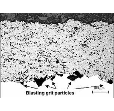 Figure 6. SEM image of tungsten carbide cobalt coating