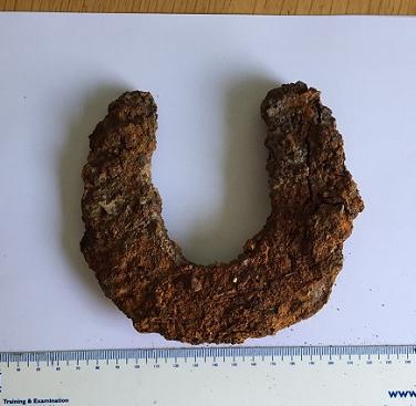 The heavily corroded horseshoe