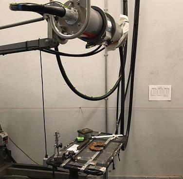 The horseshoe undergoes an x-ray