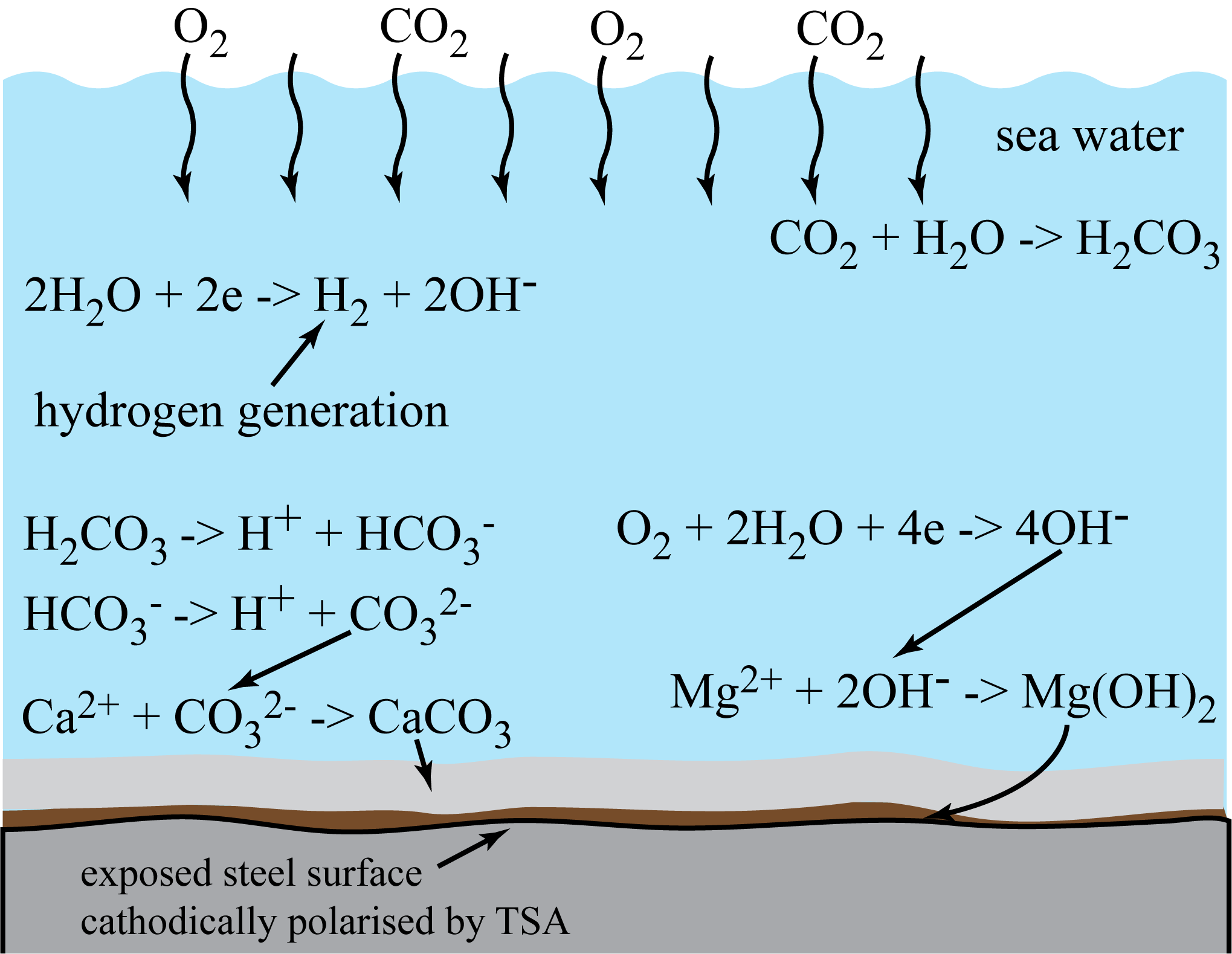 24545_Protection mechanism of TSA and hydrogen generation