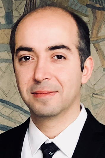 Dr Ramin Moslemian - Principal Consultant for Energy Systems Infrastructures