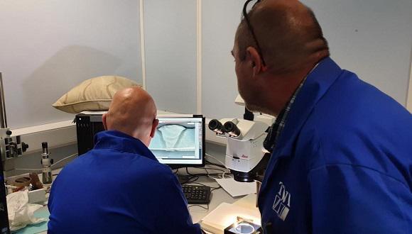 Metallography training in progress