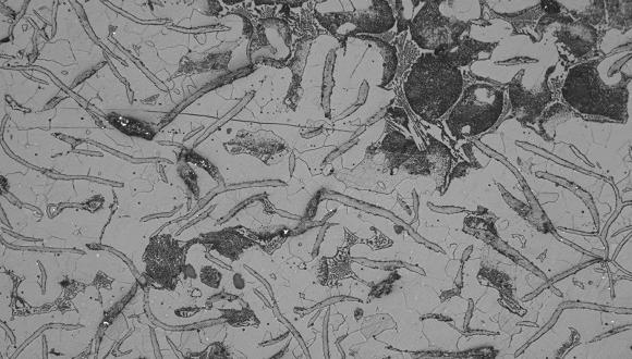 Surface replica of a cast iron, showing the microstructure