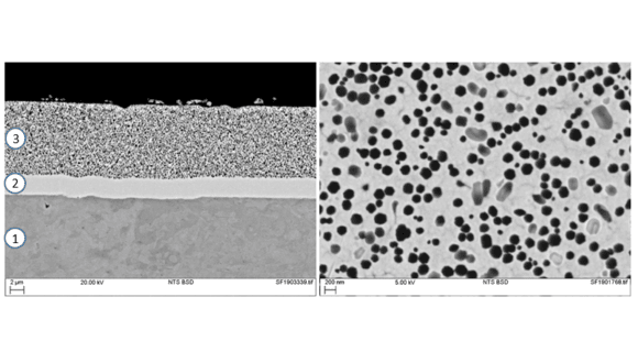 Abbildung 1. Repräsentative Bilder einer ENP-PTFE-Verbundbeschichtung. Links ein Rückstreuelektronenkontrastbild (BSE-Bild) des Querschnitts der Duplexbeschichtung auf einem Stahlsubstrat (1: Stahlsubstrat; 2: Ni-P-Grundierung; 3: Ni-P-PTFE-Deckschicht); dunkle Merkmale in der Deckschicht entsprechen funktionellen PTFE-Nanopartikeln. Rechts ein hochauflösendes BSE-Bild der Ni-P-Matrix mit eingebetteten PTFE-Nanopartikeln