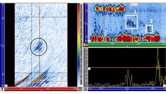 Ultrasonic inspection generating datasets for AI/ML analysis