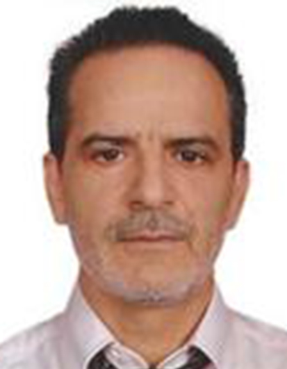 Ali Mohamed Elkordi - Regional Engineering Manager