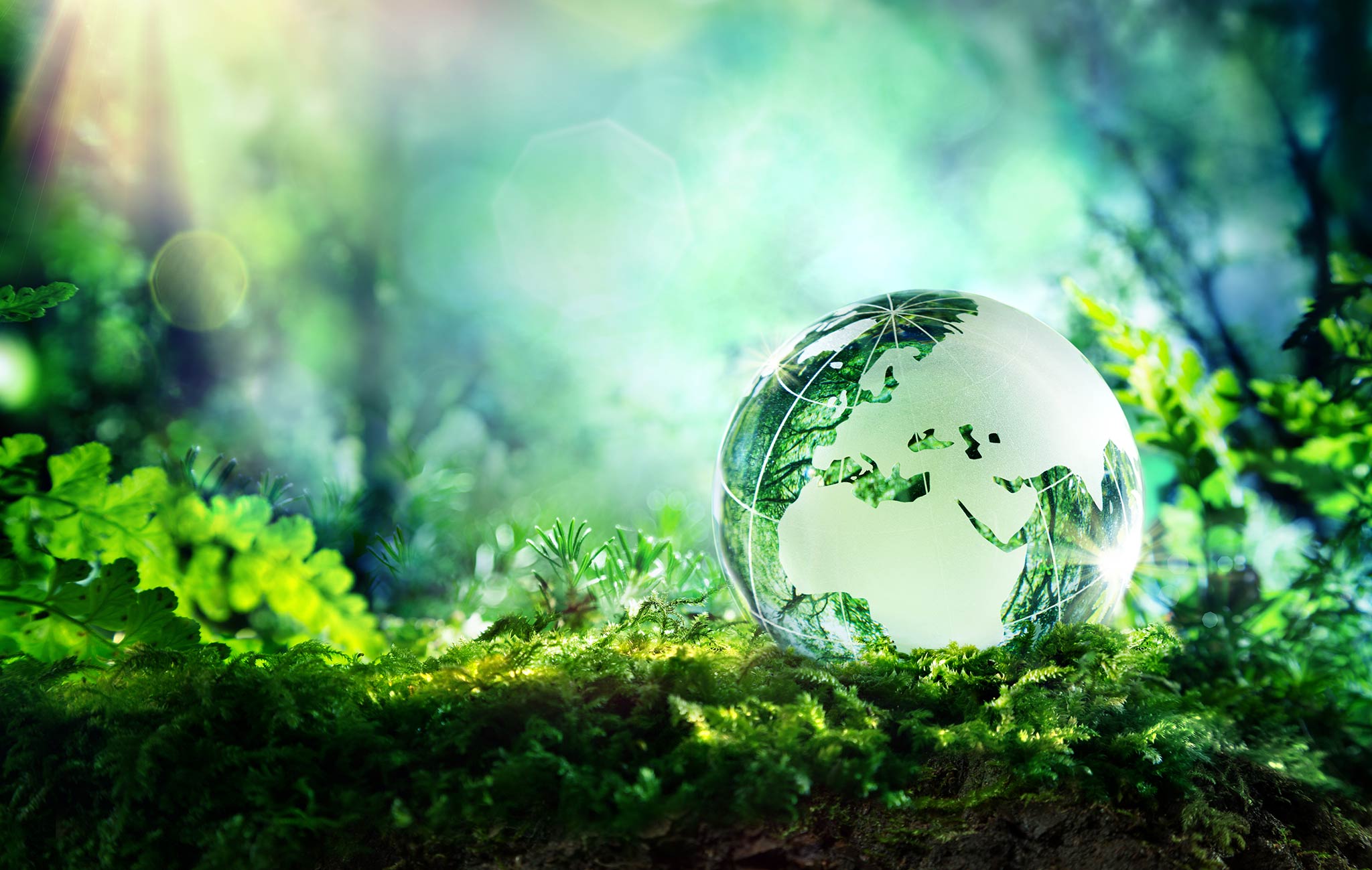 From a Christian Perspective: Why Should We Care For the Environment?