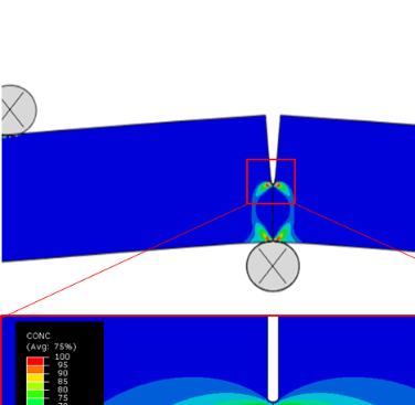 Hydrogen concentration prediction at a crack tip [1]