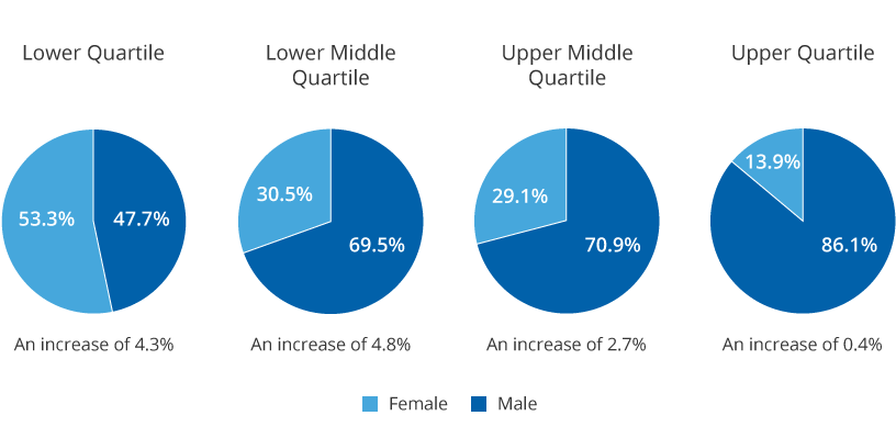 Gender Pay Graphs Quartiles