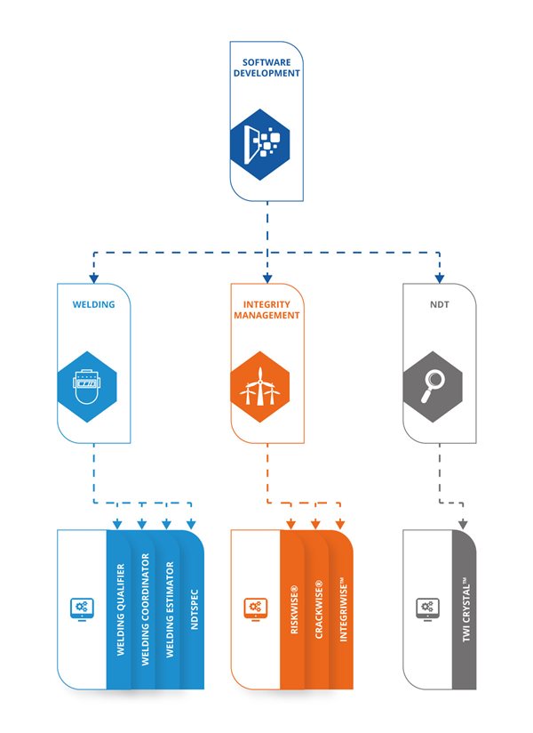 TWI Digital Strategy Software Development