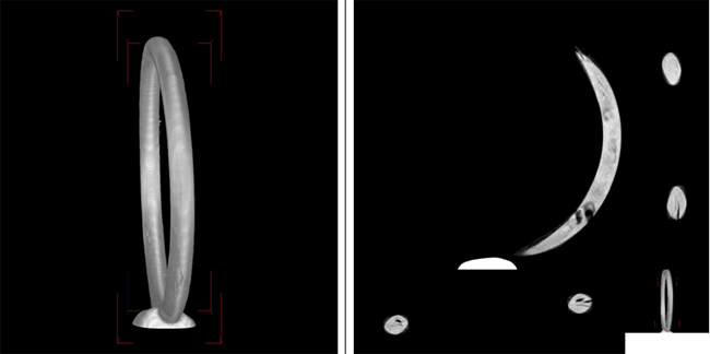 Fig.1. Digital x-ray inspection of elastomeric o-ring subject to an RGD event