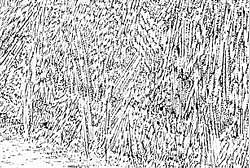 Fig.3 Transverse section of specimen welded without ultrasound